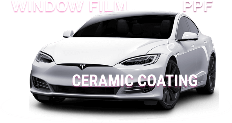 Automotive Protection & Detailing in Daytona