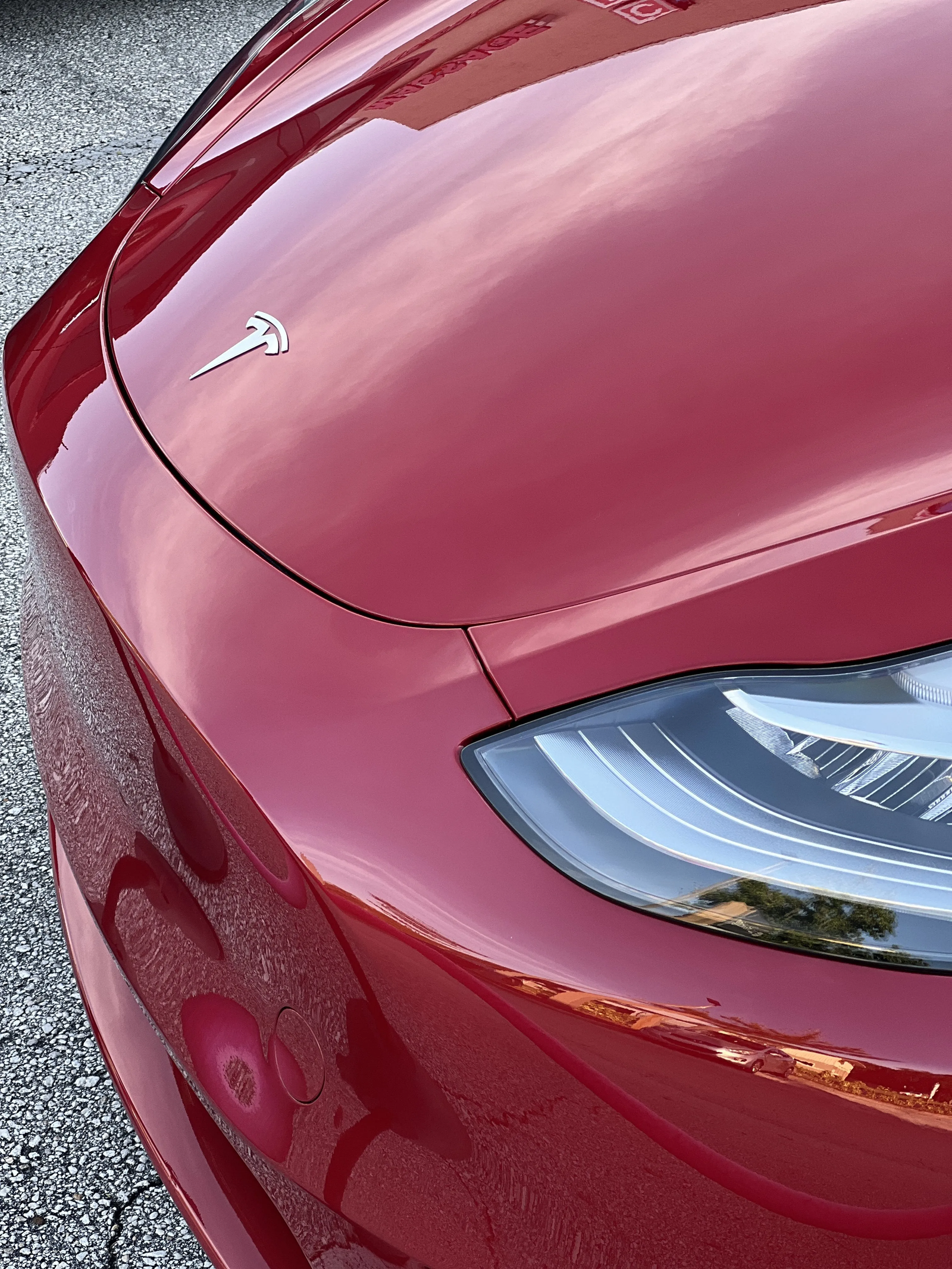 Bumper Paint Protection Film Daytona