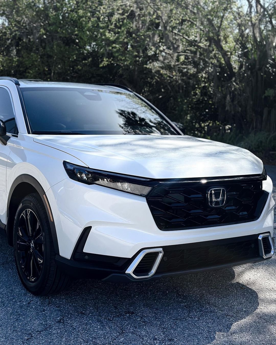 Ultimate Armor Protection: Ideal for Daily Driven Vehicles