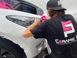Paint Protection