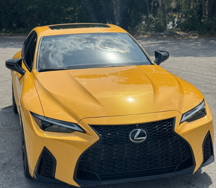 Paint protection